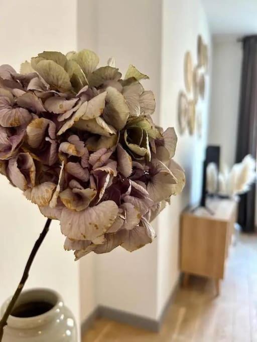 Chic 4 Personnes Hypercentre 5 Minutes Avenue De Champagne Apartment Epernay